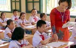 GV tiểu học thấy chương trình nào cũng khổ và mệt